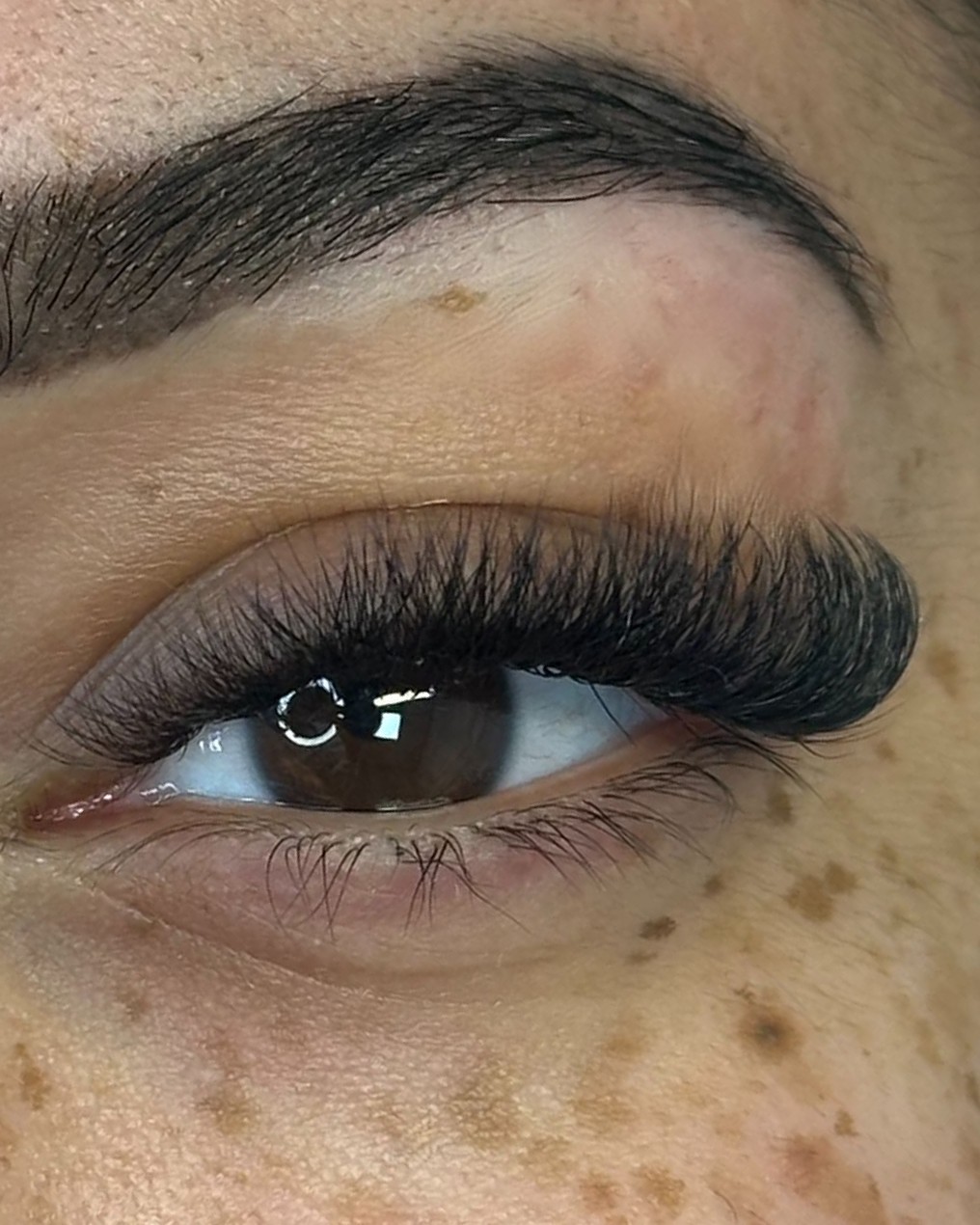 Een volle set wimperextensions van dichtbij, met een strak gevormde wenkbrauw erboven